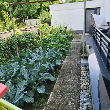 Am Schloss 아파트 *