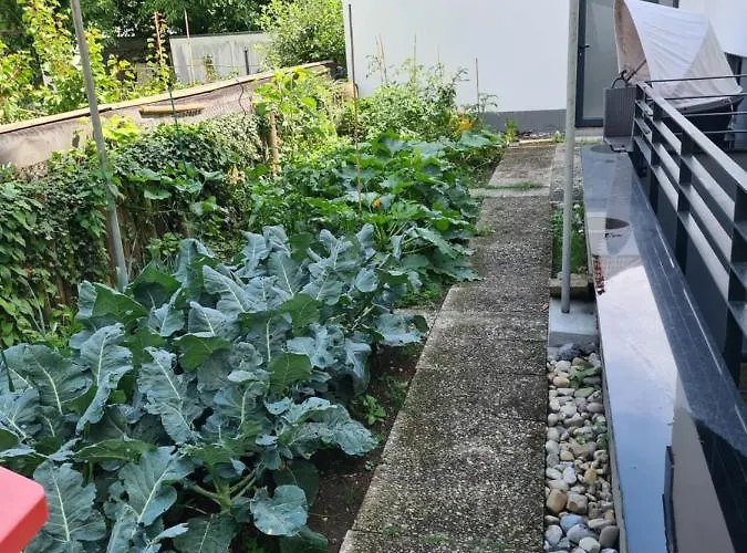 Am Schloss Διαμέρισμα *